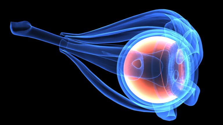 The Future of AI Puts the Focus Directly on the Individual Patient