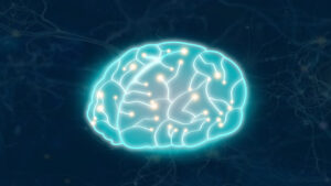 Clinical Decision Support Systems