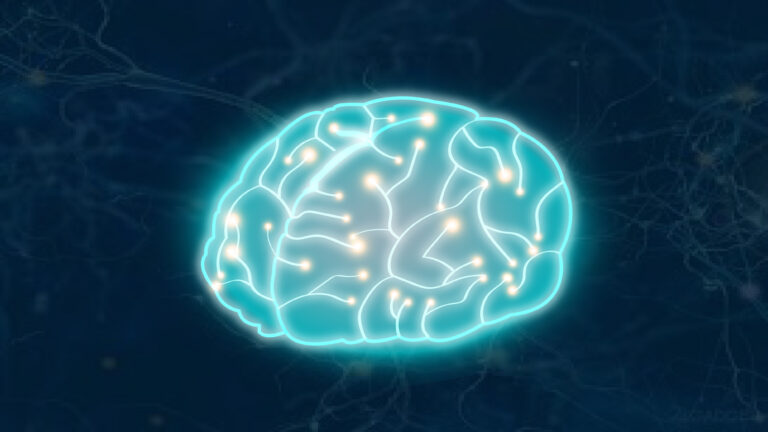 The Role of AI-Driven Clinical Decision Support Systems in Eye Care