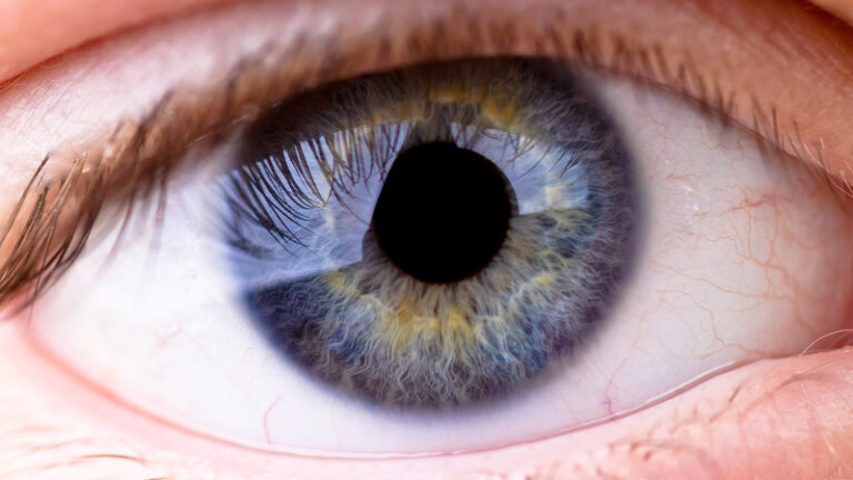 New Study Finds High Acceptance of AI in Ophthalmology